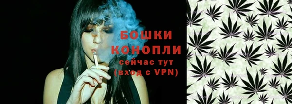 прущие грибы Фёдоровский