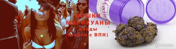 spice Ельня