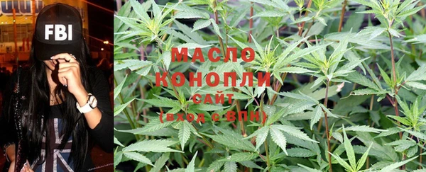 соль ск Елабуга