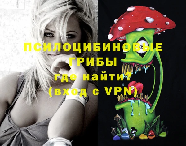 spice Ельня