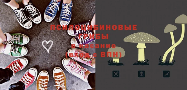 spice Ельня