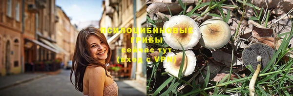 соль ск Елабуга