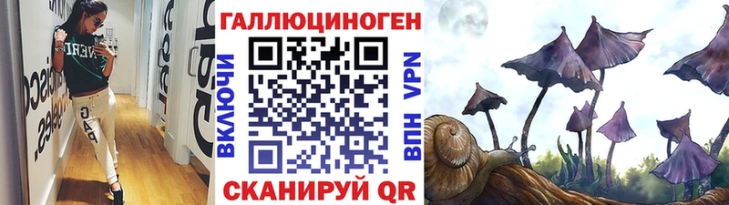 Псилоцибиновые грибы Magic Shrooms  Купить  Дно 